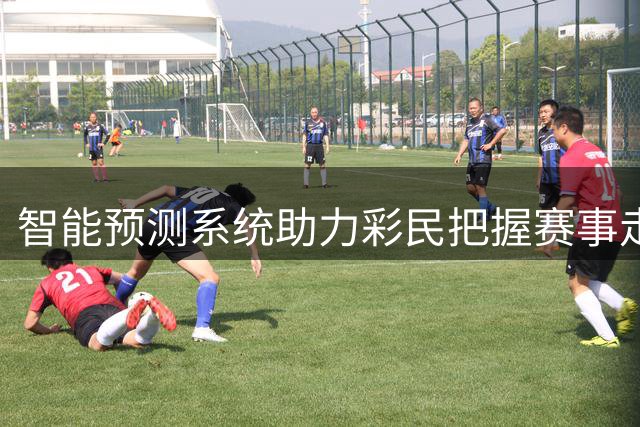 智能预测系统助力彩民把握赛事走势